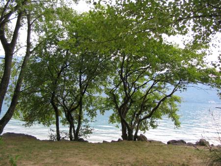 Lac du Bourget, �t� 2005