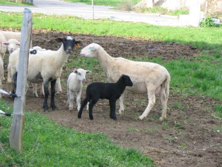 Photos Kty. Avril 2006