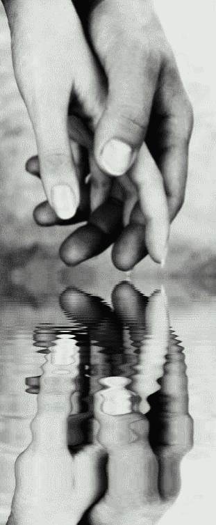 7, 8, 9 juillet 2006, Le Pontet ( Vaucluse ) 10� Festival de la Tendresse