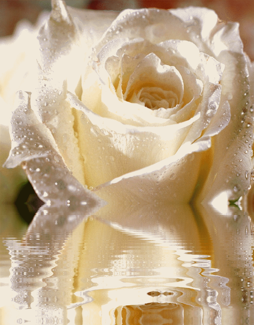 Such a sweet and delightful friendship...